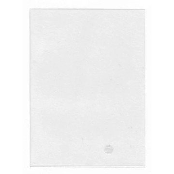 Ultra Pro Clear Gloss Deck Protector Standard (100)